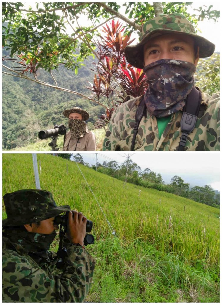 kinabalu mountain guide who loves birds