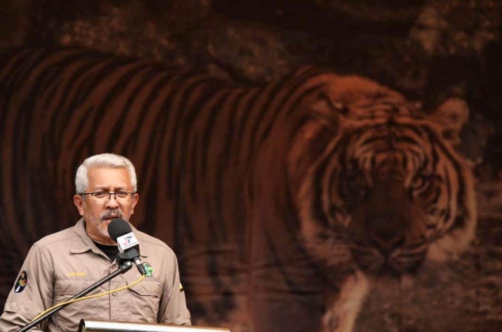 Economist turned Conservationist in Malaysia