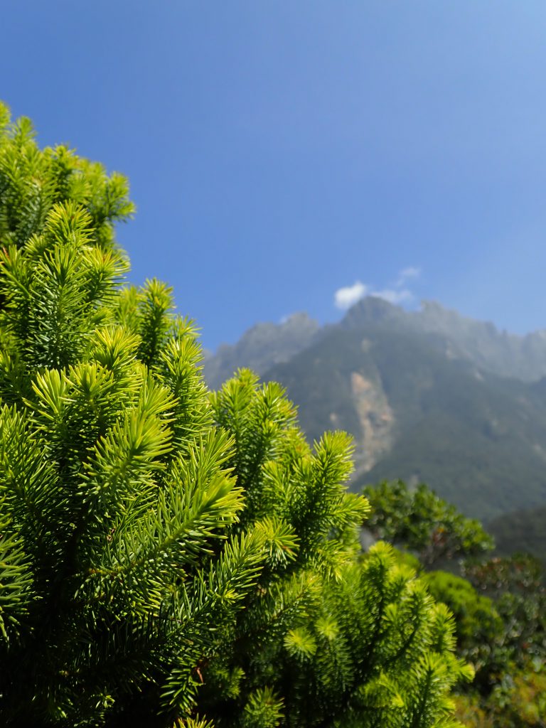 highest community nature reserve in Malaysia