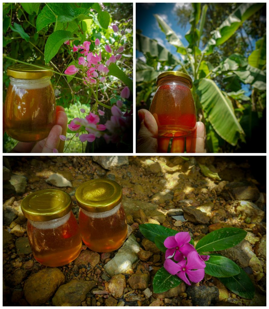 centre of stingless bee honey