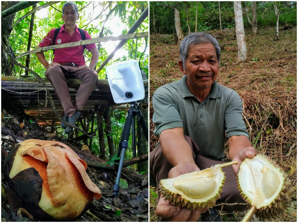 Ecotourism for the conservation of Bongol Rafflesia