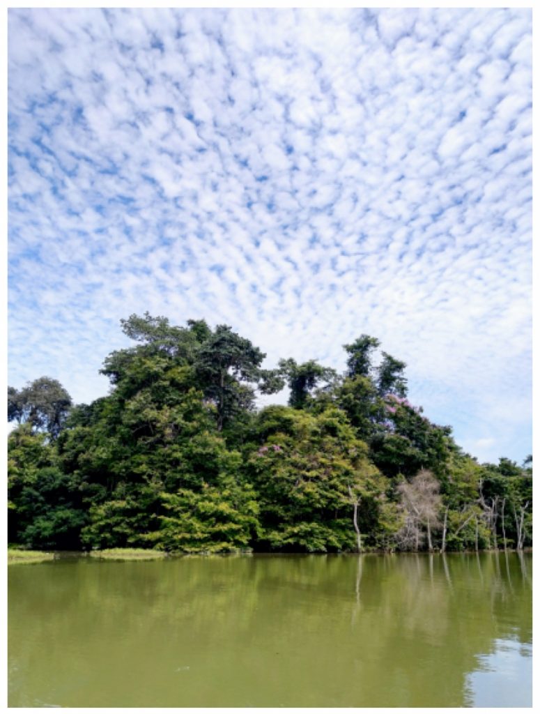 Ecotourism for Conservation of Ulu Muda