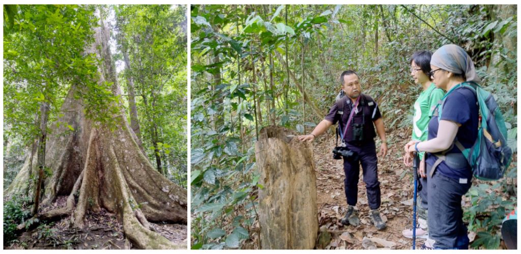 Ecotourism for Conservation of Ulu Muda