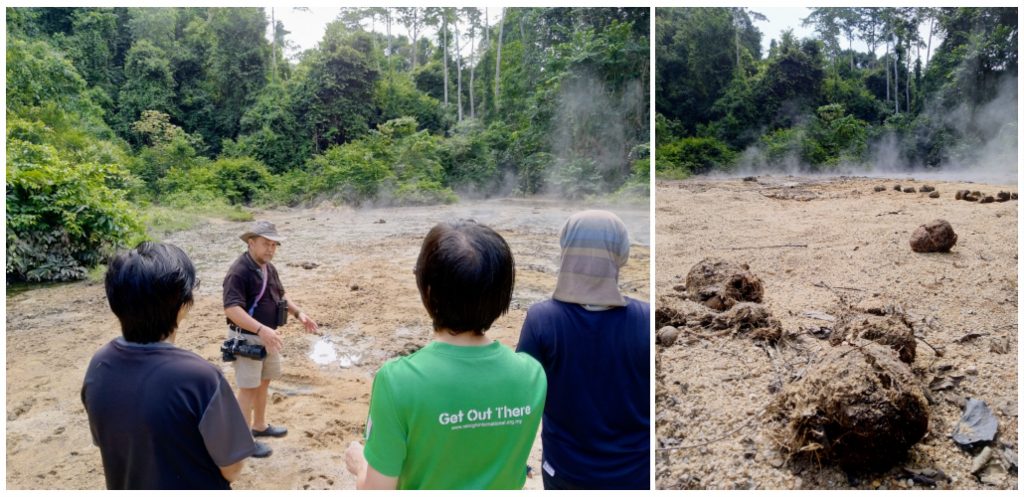 Ecotourism for conservation of Ulu Muda